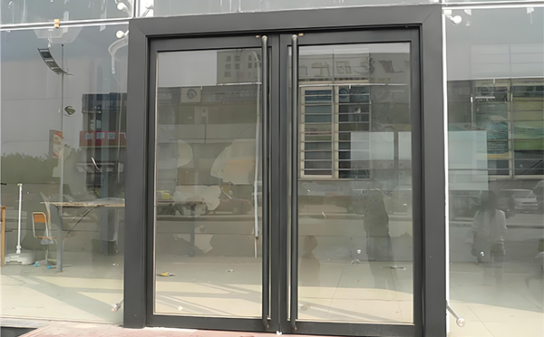 西夏玻璃地弹门